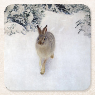 Winter Hare (kanin), Bruno Liljefors Underlägg Papper Kvadrat