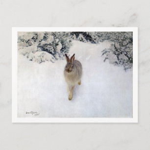 Winter Hare (kanin), Bruno Liljefors Vykort