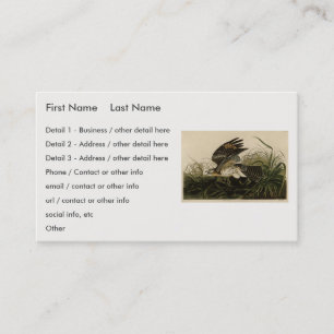 Winter Hawk, John James Audubon's Birds of America Visitkort