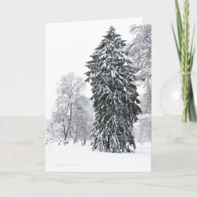 Winter Helgdag i Boston Public Garden Park Helgkort (Framsida)