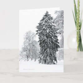 Winter Helgdag i Boston Public Garden Park Helgkort