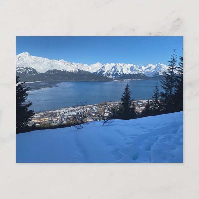 Winter Hike Overlook Seward Vykort (Framsida)