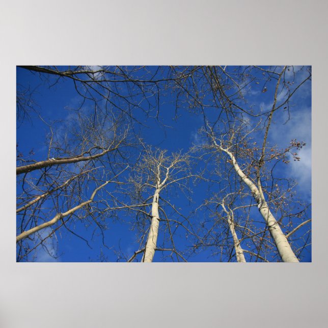 Winter himlar poster (Framsidan)