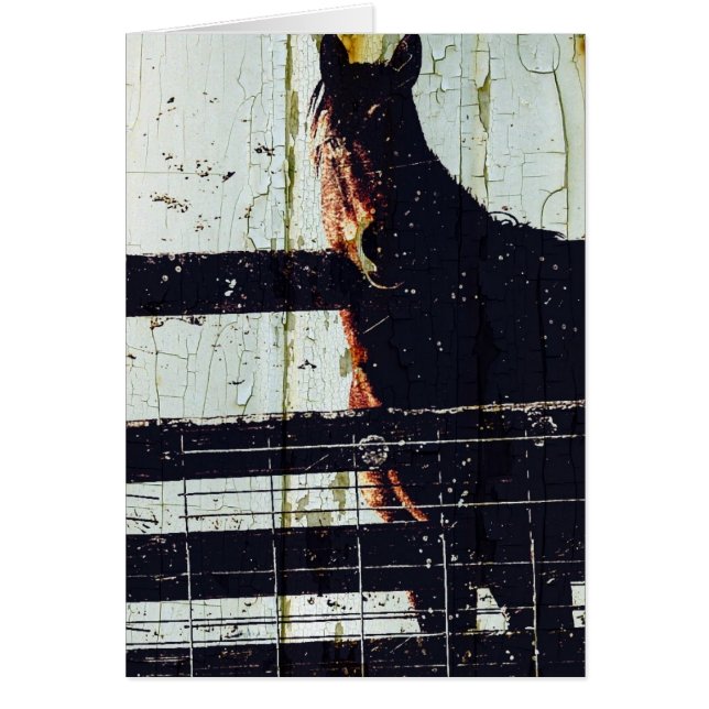 Winter Horse Hälsningskort (Framsidan)