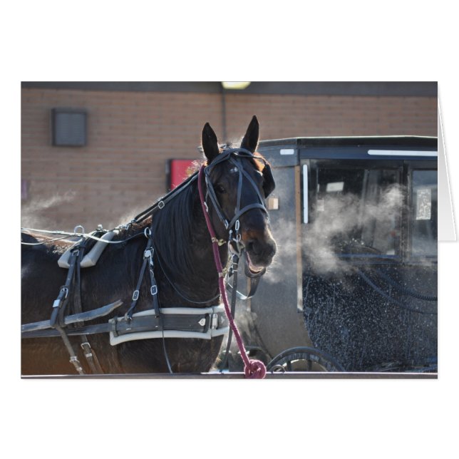 Winter Horse Hitch Hälsningskort (Framsidan Horizontal)