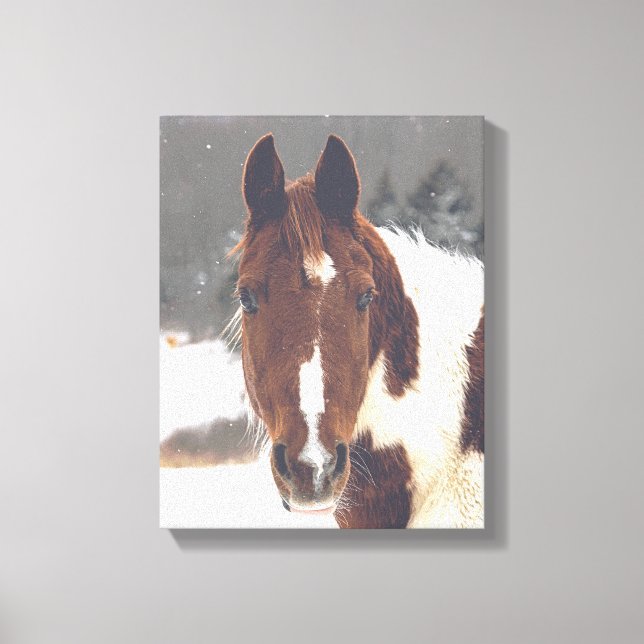 Winter Horse Wrapped Canvas (Framsida)