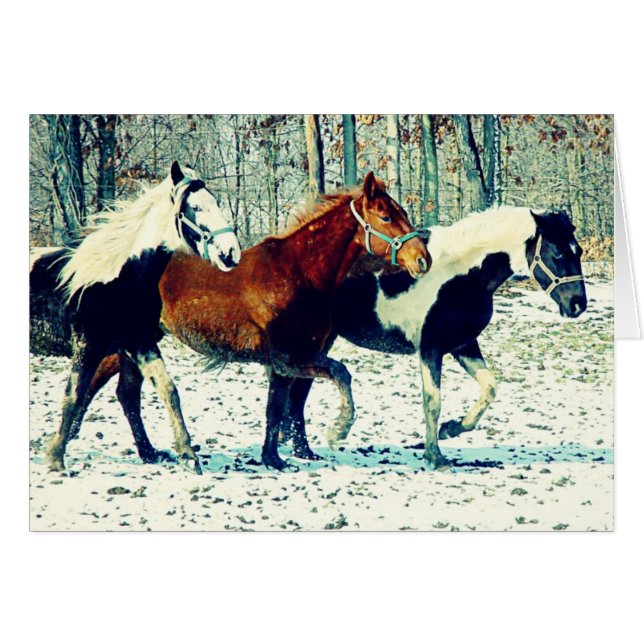 Winter Horses Hälsningskort (Framsidan Horizontal)