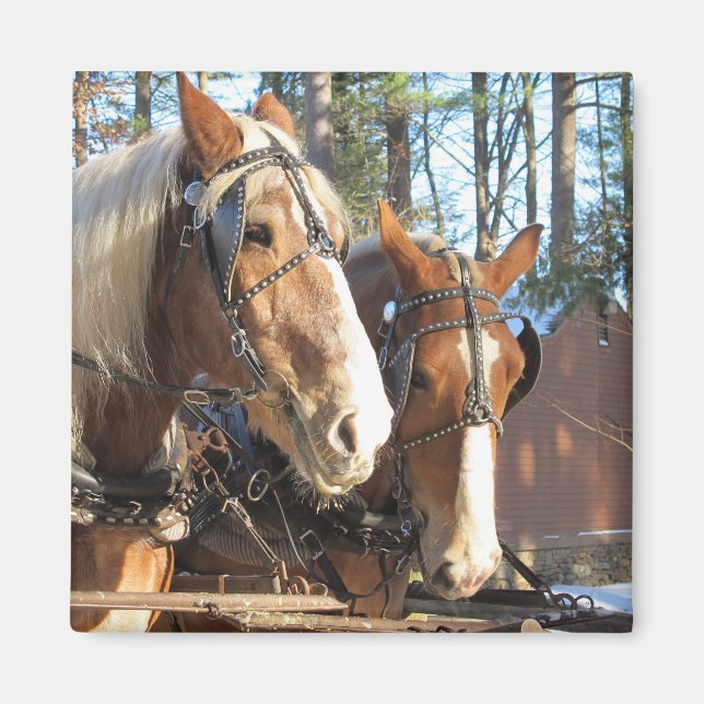 Winter Horses Sturbridge Village Magnet (Framsidan)