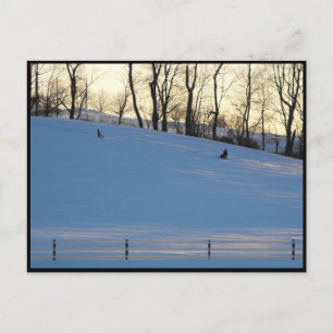 ~ Winter i Lancaster County ~ 6 Vykort