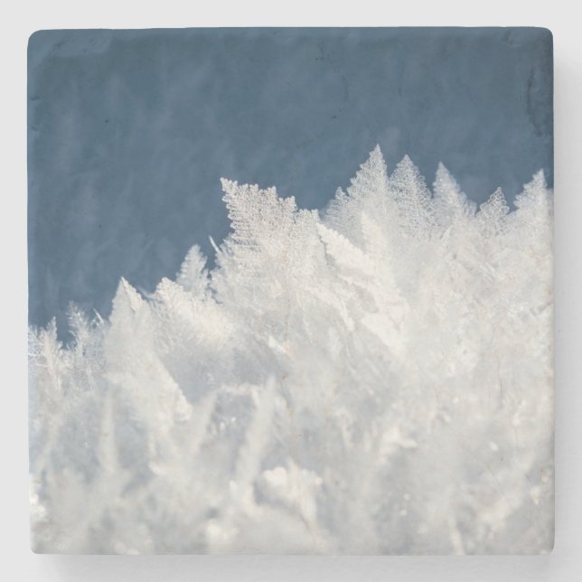 Winter Ice Crystals Stenunderlägg (Framsidan)