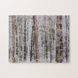 Winter Ice Storm i skogen - 11 x 14 tum Pussel