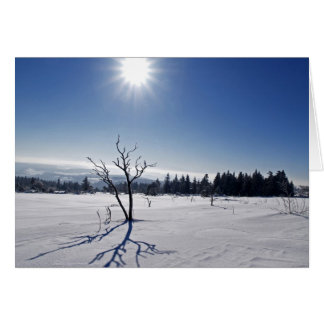Winter im Schwarzwald Hälsningskort