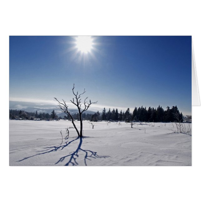 Winter im Schwarzwald Hälsningskort (Framsidan Horizontal)