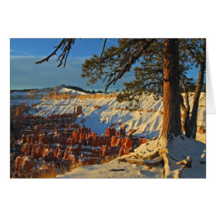 Winter in Bryce Canyon OBS Kort