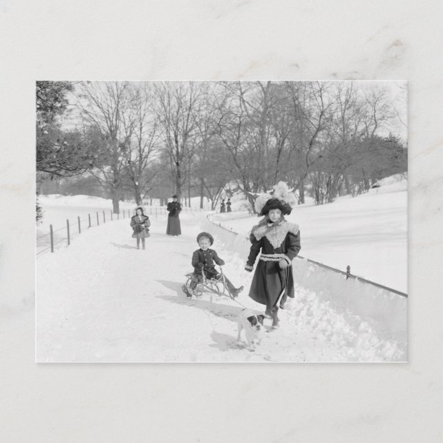 Winter in Central Park, 1900 Vykort (Framsida)