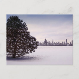 Winter in Chicago Vykort