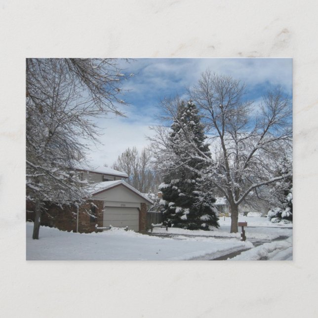 Winter in Colorado Vykort (Framsida)