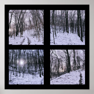 Winter in Four Scenes Poster