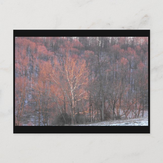 ~ Winter in Lancaster County ~ 10 Vykort (Framsida)