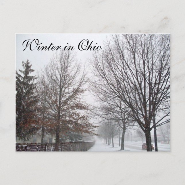 WINTER IN OHIO-vykort Vykort (Framsida)