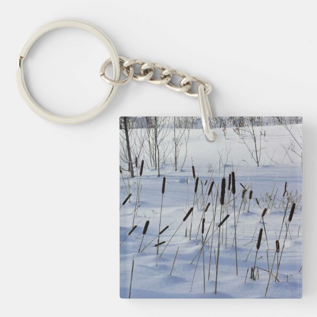 Winter in Quebec, Kanada (Framsidan)