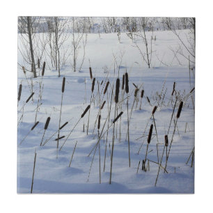Winter in Quebec, Kanada Kakelplatta