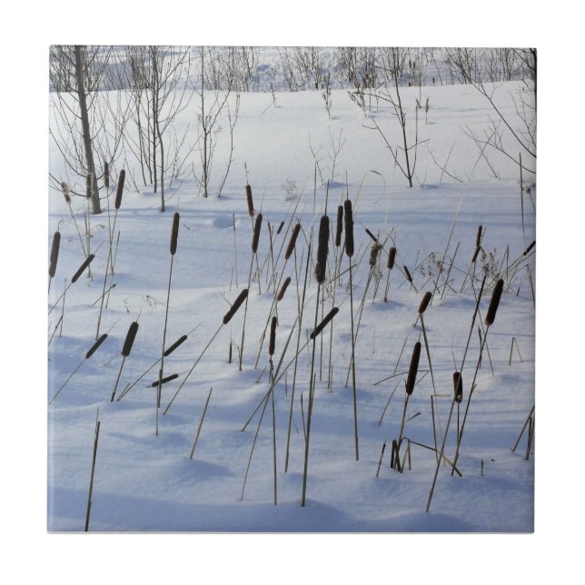 Winter in Quebec, Kanada Kakelplatta (Framsidan)