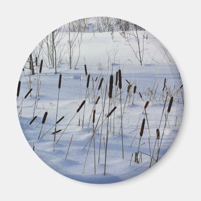 Winter in Quebec, Kanada Magnet (Framsidan)