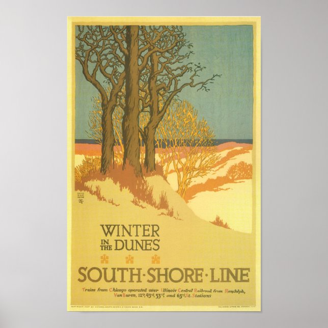 Winter in the Dunes Poster (Framsidan)