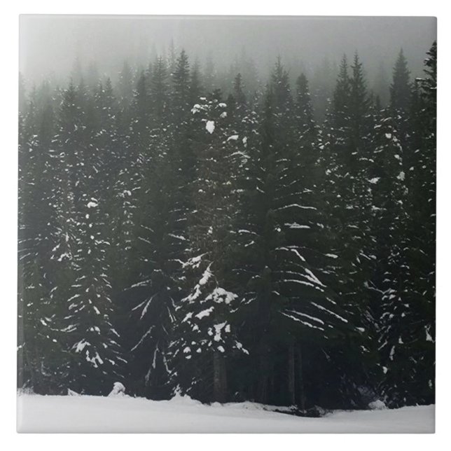 Winter in the Mountain Forest Kakelplatta (Framsidan)