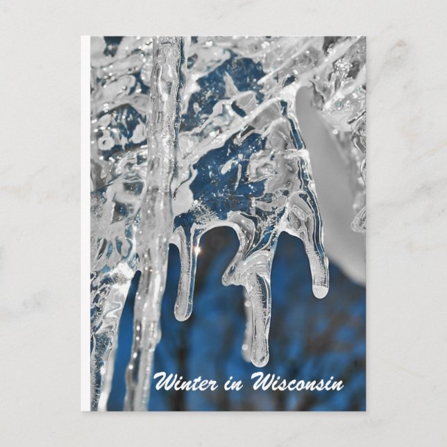 Winter in Wisconsin Vykort (Framsida)