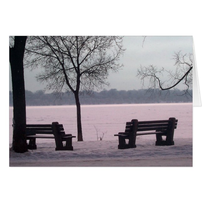 WINTER-KORT: Sjö Harriet "Benches", Mpls., MN, Hälsningskort (Framsidan Horizontal)