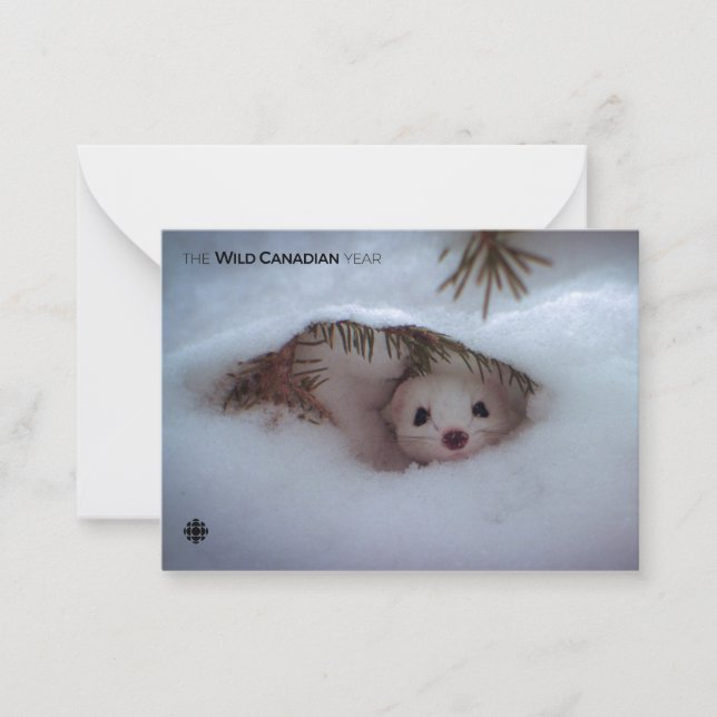 Winter-Kort-Tails Weasel Anteckningskort (Framsida)