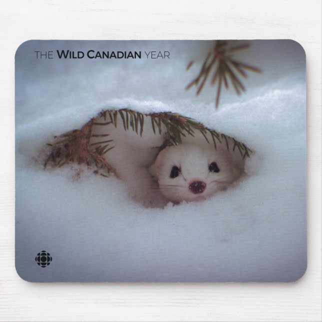 Winter-Kort-Tails Weasel Musmatta (Framsidan)
