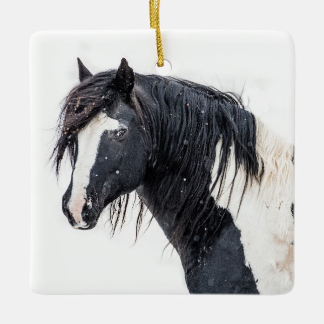 ’Winter Kung’ Washakie Ornament (Framsida)