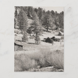 Winter Land Vykort