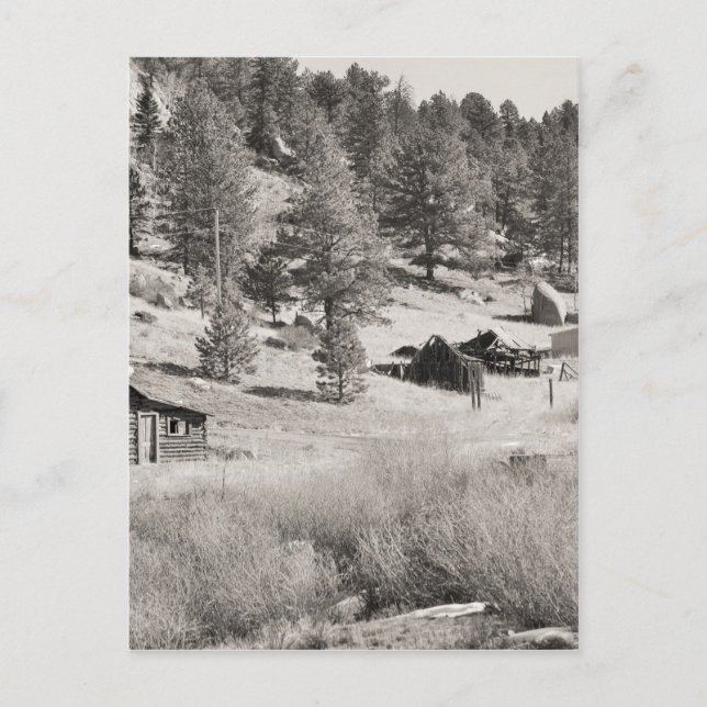 Winter Land Vykort (Framsida)