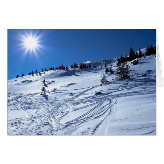 Winter land Winter sol Hälsningskort (Framsidan Horizontal)
