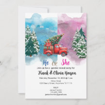 Winter Lastbil Forest Wonderland Gender Reveal