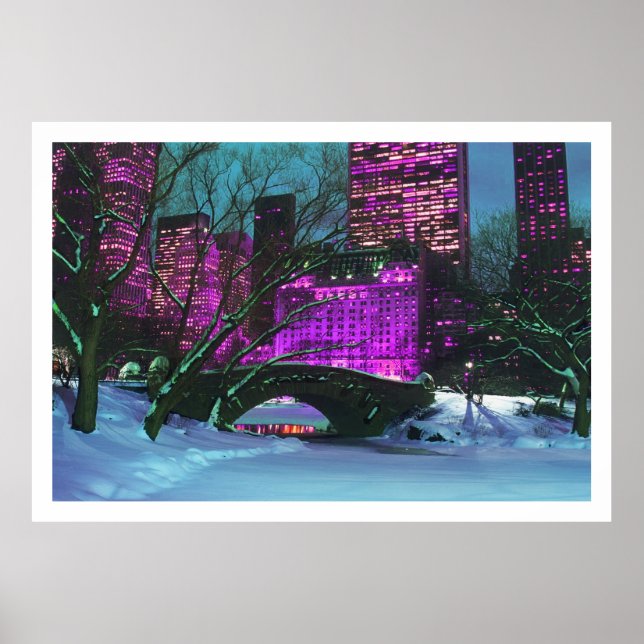 Winter Ligcape Central Park New-York Poster (Framsidan)