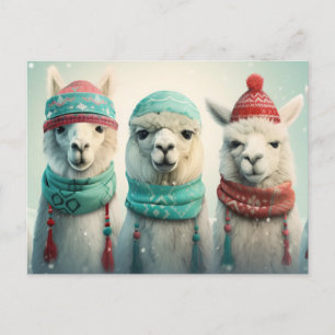 Winter Llamas Helg Vykort