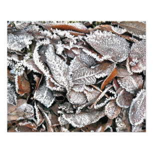 WINTER LÖV FOTOTRYCK