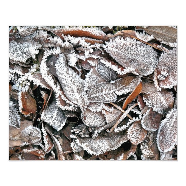 WINTER LÖV FOTOTRYCK (Framsidan)