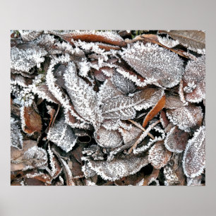 WINTER LÖV POSTER