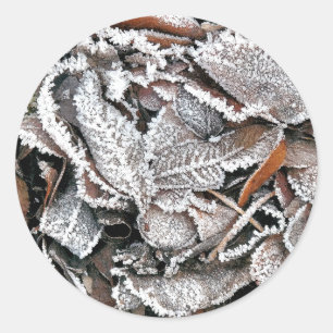 WINTER LÖV RUNT KLISTERMÄRKE