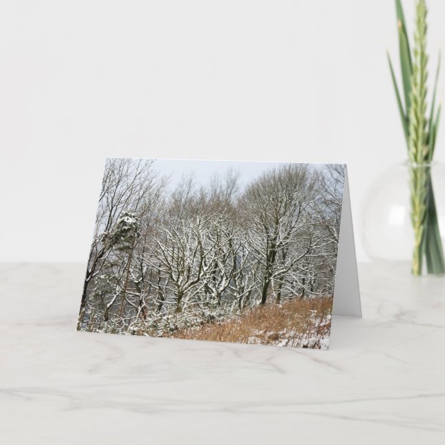 Winter Macclesfield Forest Kort (Framsida)