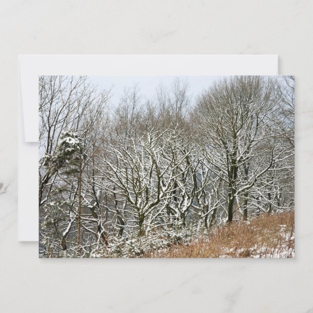 Winter Macclesfield-skogskort Tack Kort (Framsida)
