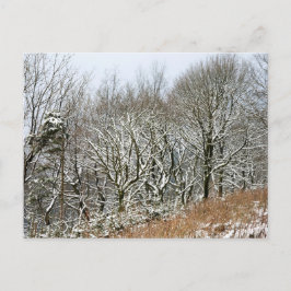 Winter Macclesfield-skogskort Vykort