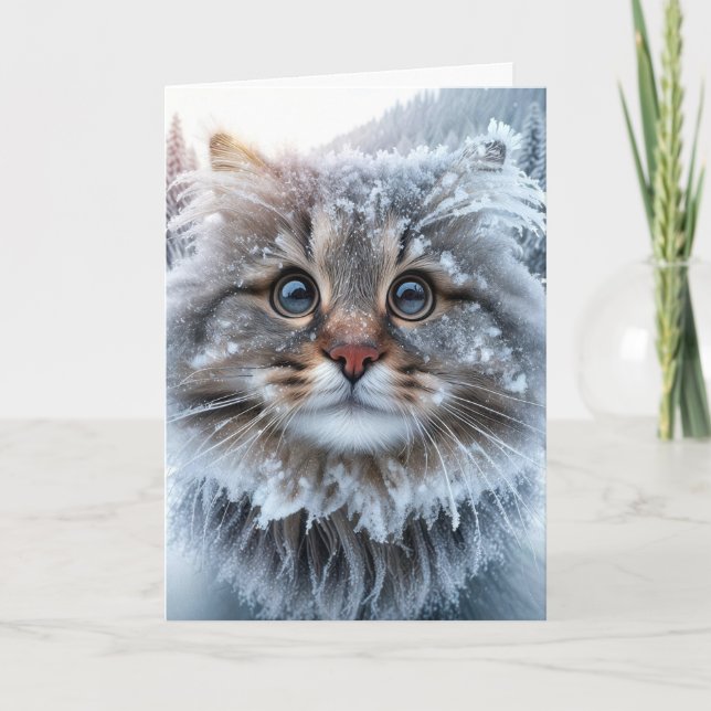 Winter Maine Coon Cat Birthday Humor Kort (Framsida)