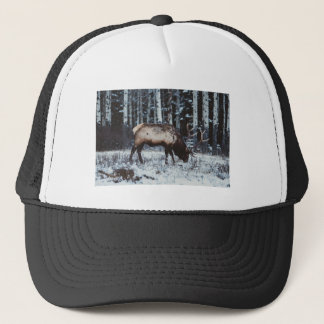 Winter Majesty: Elk in Snow Trucker Cap Keps
